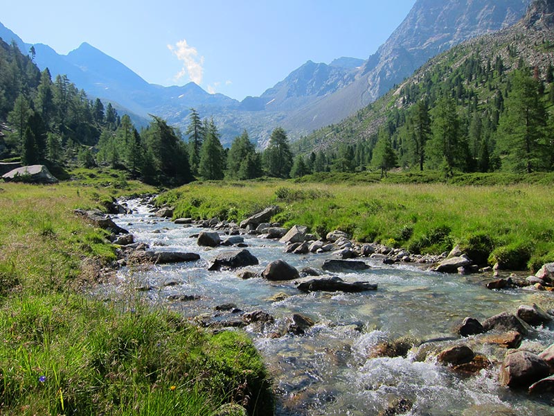 gelttalspitze